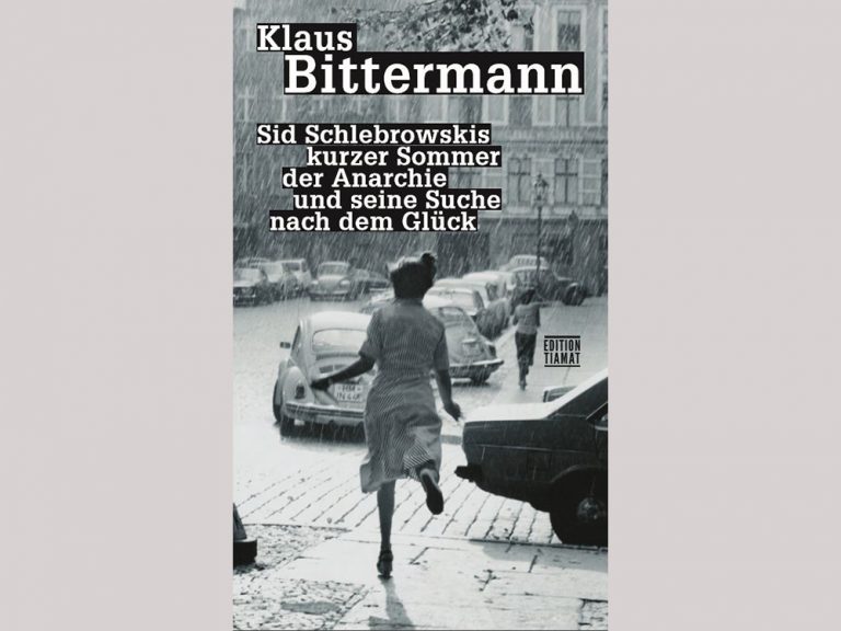 Sid Schlebrowskis kurzer Sommer der Anarchie und seine Suche nach dem Glück